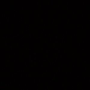 Meet your Posher, Leon